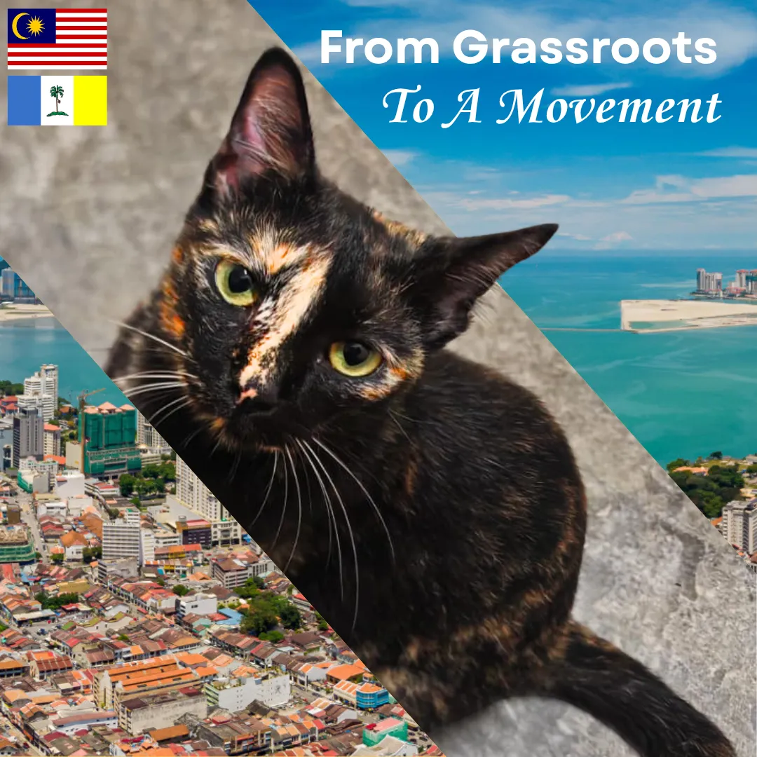 From Grassroots to a Movement