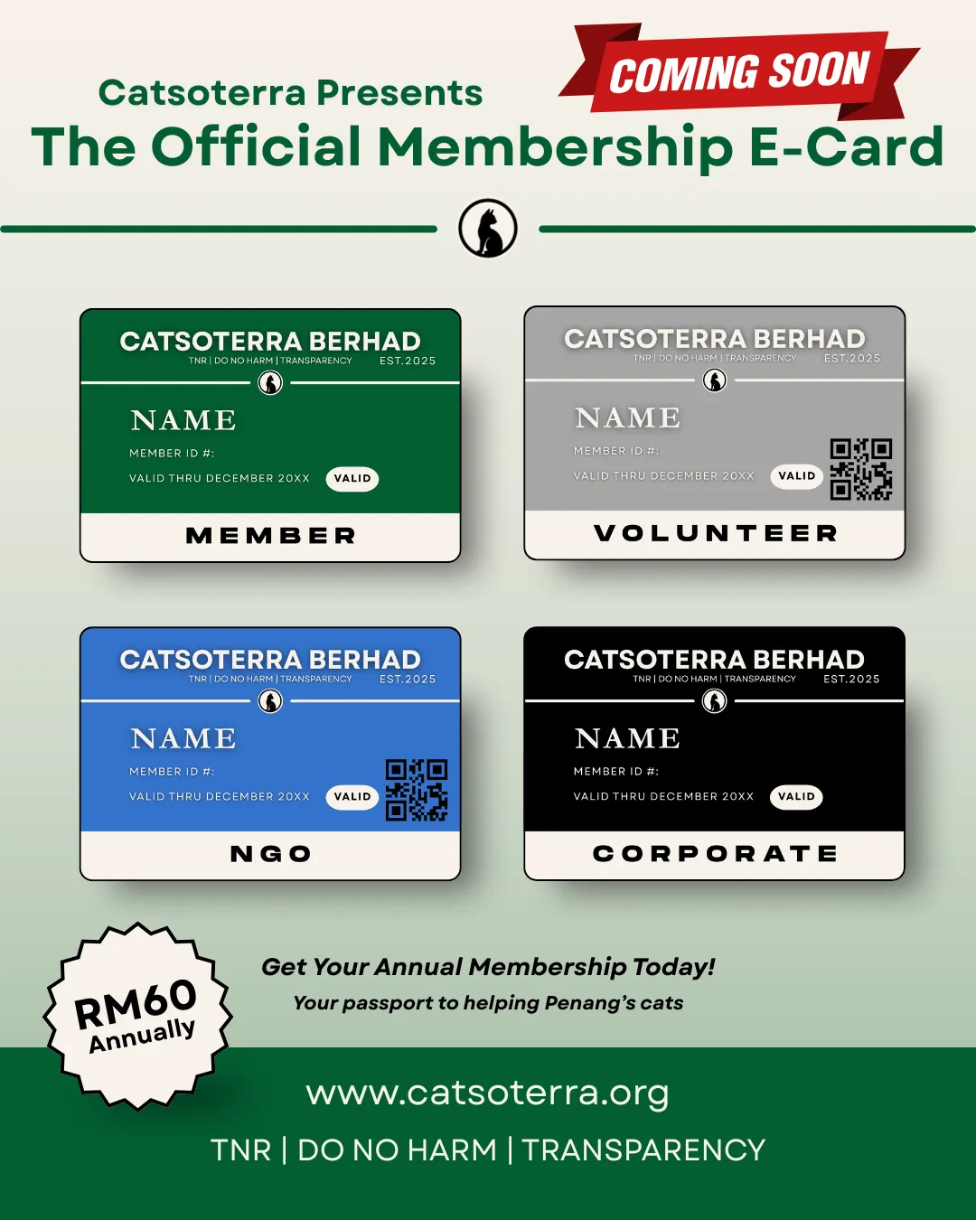 More Than an E-Card: Building the Future of Catsoterra