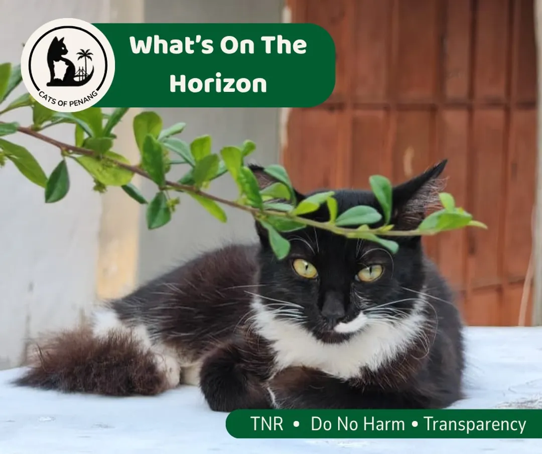 What’s On The Horizon